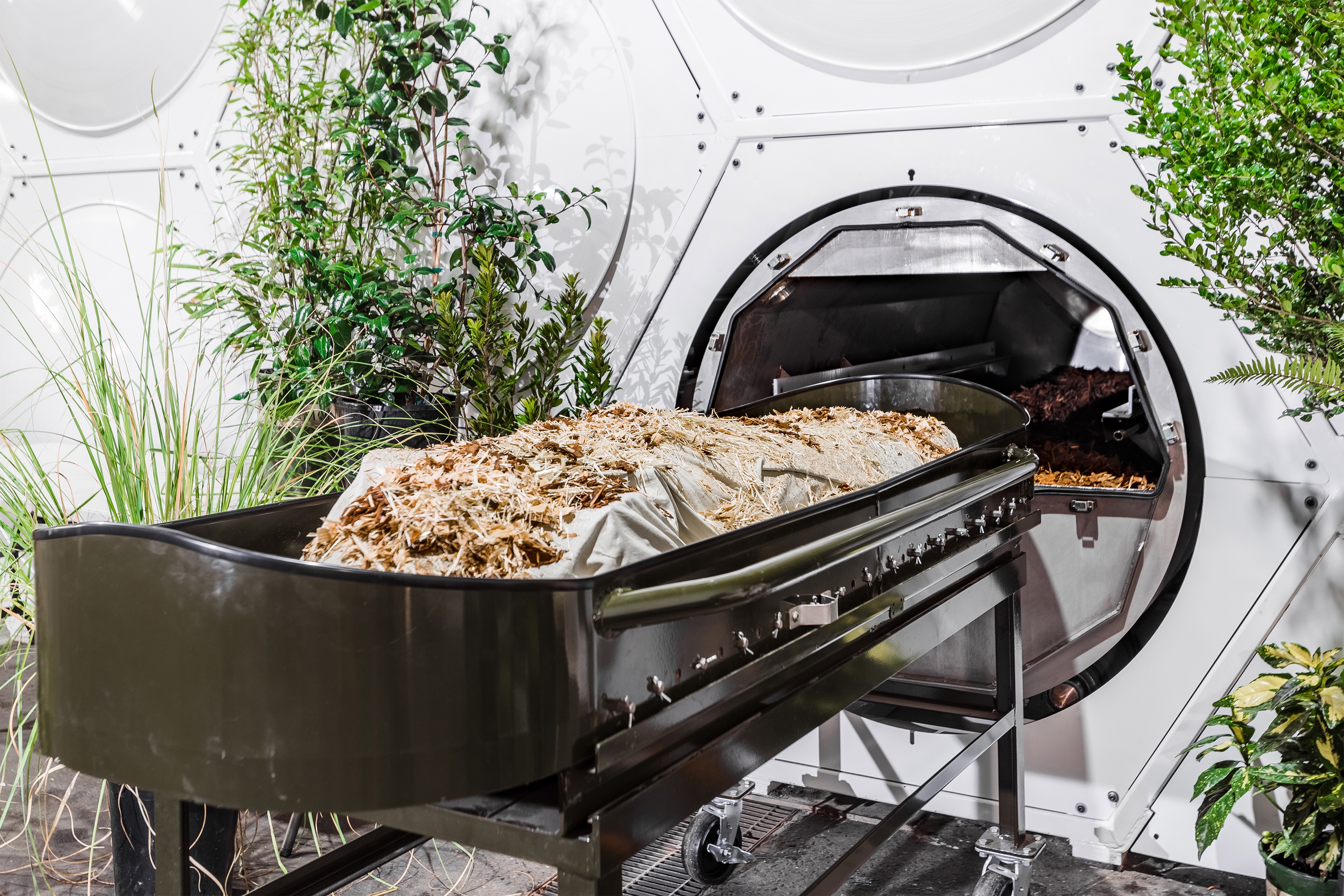 If You’re Worried About the Environment, Consider Being Composted When You Die