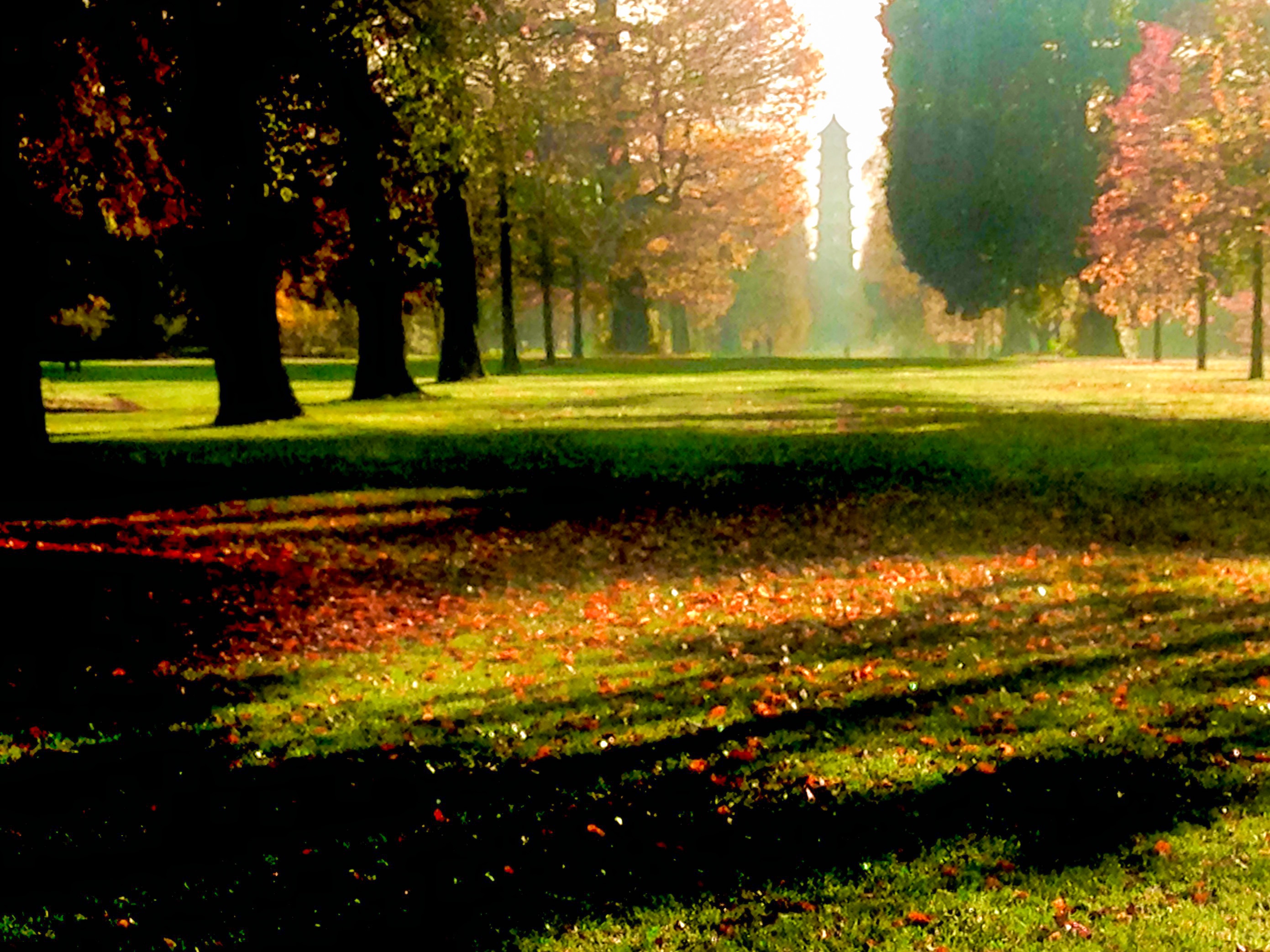 Kew Gardens Pagoda Vista