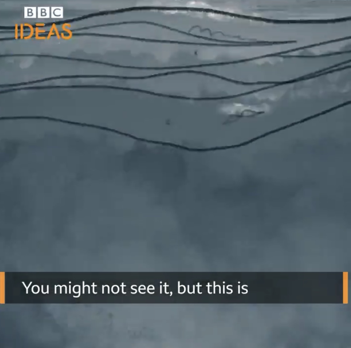 On the Strangeness of Water