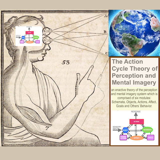 The Action Cycle Theory of Perception and Mental Imagery